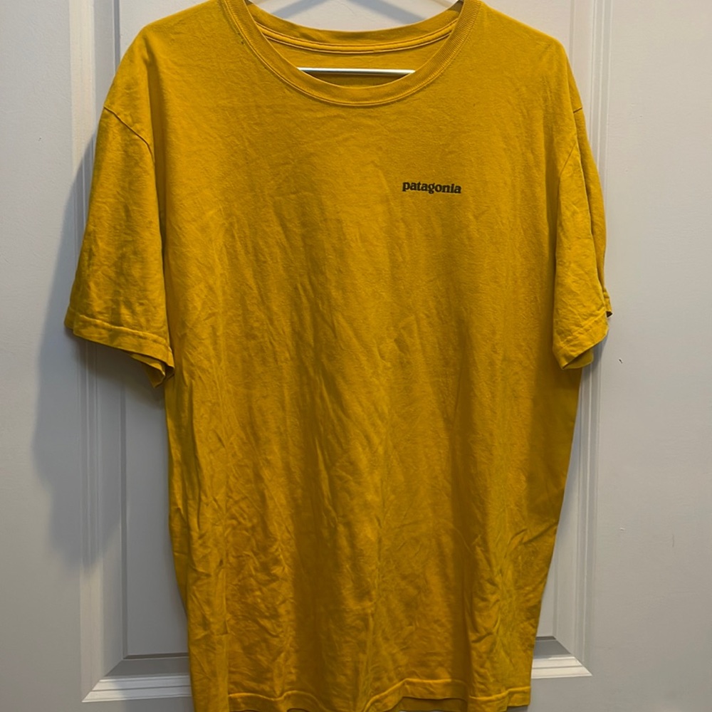 Patagonia shirt